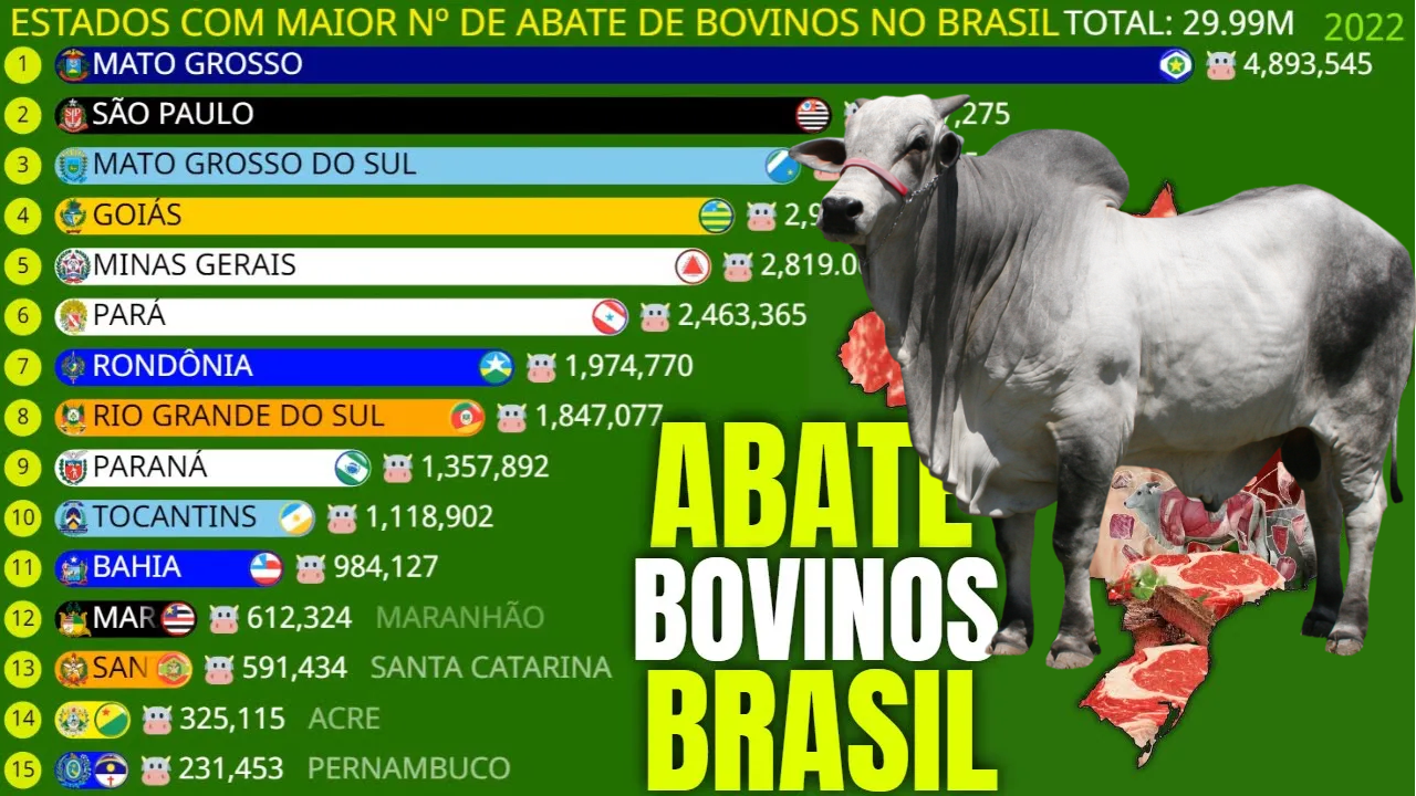 Abate de Bovinos no Brasil