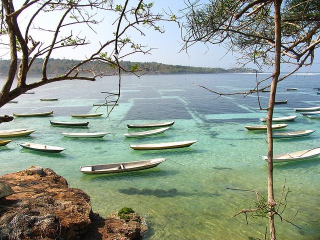 Seaweed farm, Bali, Indonesia