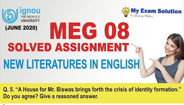 meg assignment