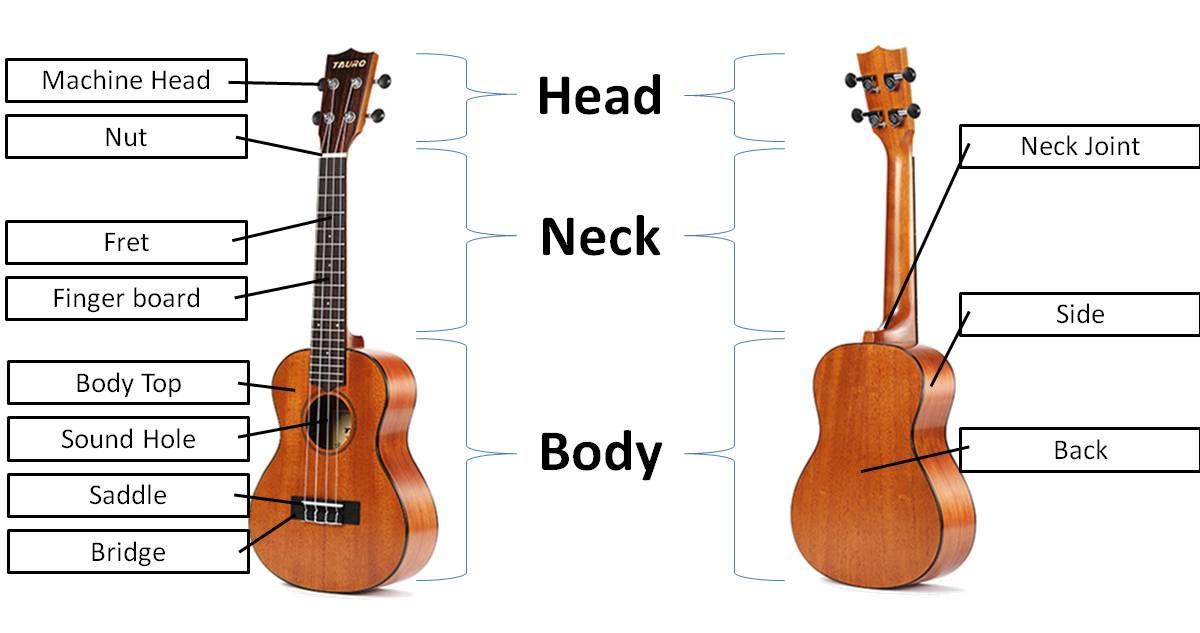 How To Choose Ukulele In Malaysia [Mato Music Ukulele Buying Guide] image 2