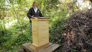 Northeast Bee Keeping