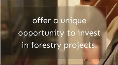 You've probably heard of the Forestry investment associates scam. Here's what you need to know about it. Forestry investment associates is a company that provides forestry investment opportunities. Learn more about them and their services here. Forestry investment associates are the best in their field. Find out what you need to know about them.