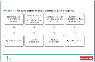 http://www.primaria.librosvivos.net/actividades/flashActividadesPrimariaPub/examen.swf?idejecucion=1618