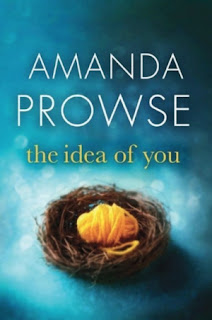The Idea of You by Amanda Prowse (Book cover)