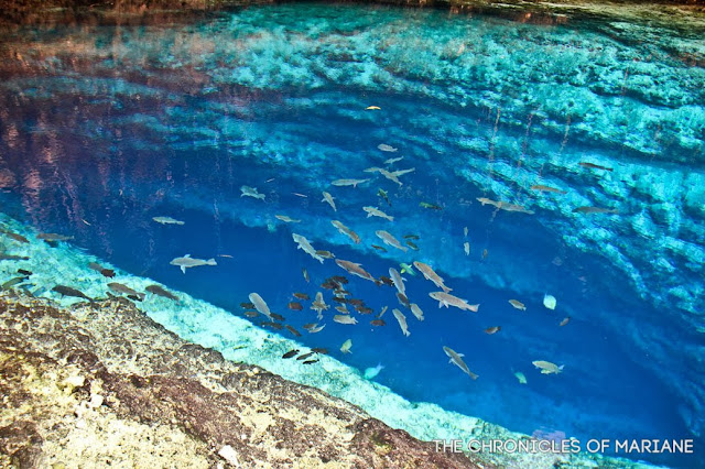 enchanted river hinatuan