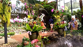 Tempat Wisata Orchid Forest Cikole Bandung 