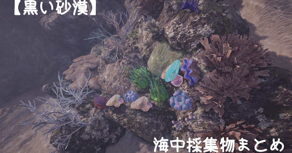 海中採集物まとめ 砂漠の覚え書き