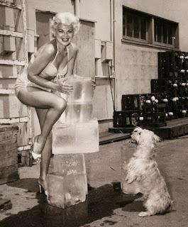 Barbara Nichols