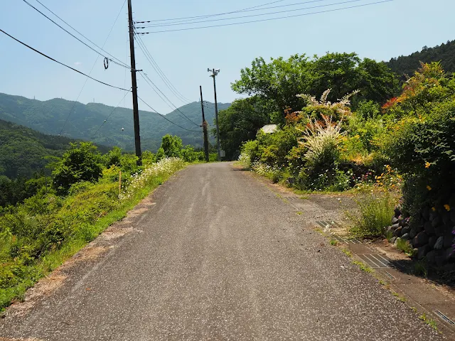 秩父　ファームライン