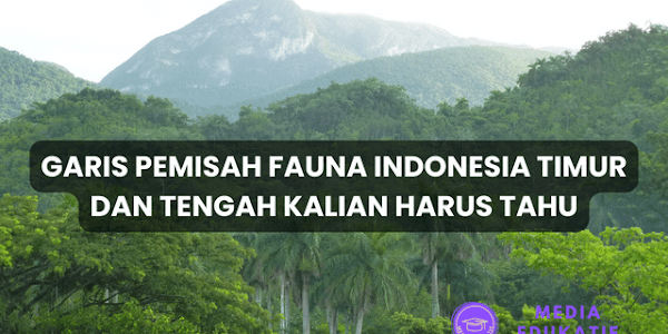 Garis Pemisah Fauna Indonesia Timur dan Tengah Kalian Harus Tahu