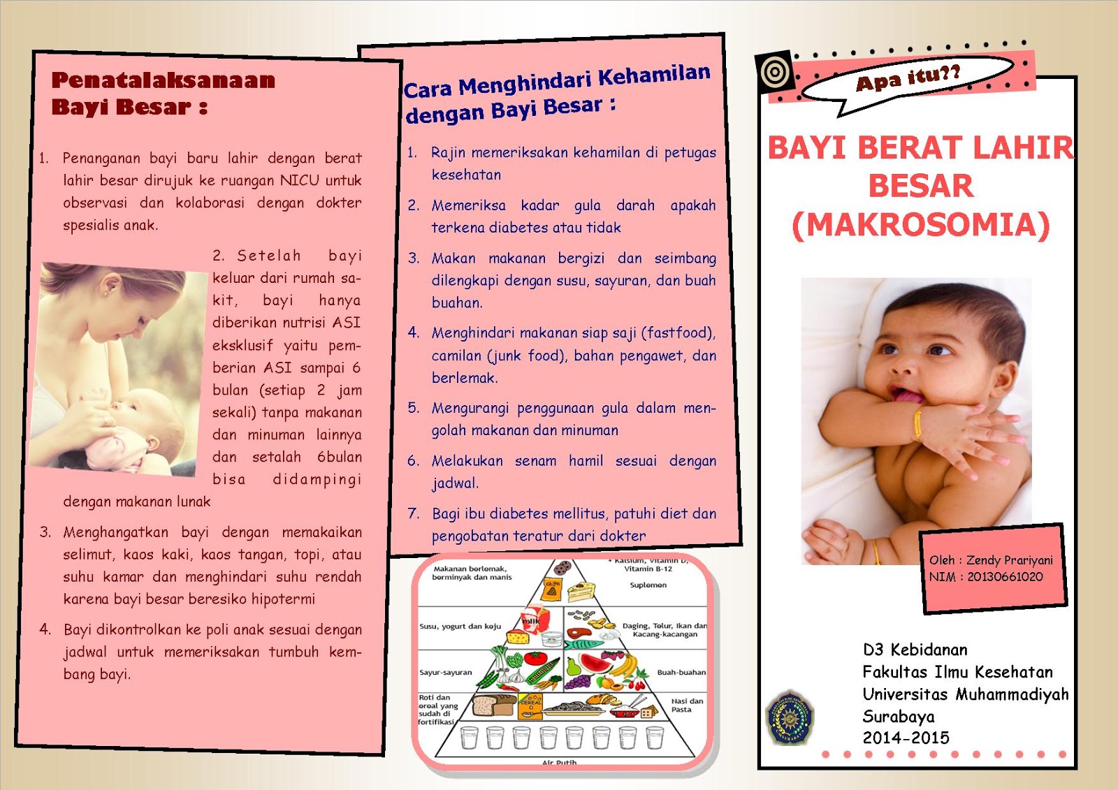 This is Zendy Blog Leaflet Penyuluhan Bayi  Berat Lahir  