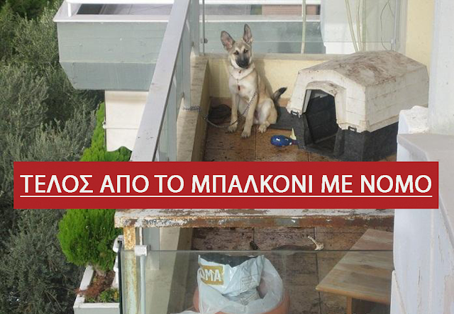 ΤΕΛΟΣ,τα σκυλιά στο μπαλκόνι  – ΔΕΙΤΕ τι μας λέει ο νέος νόμος για τα κατοικίδια και ποια είναι τα πρόστιμα.