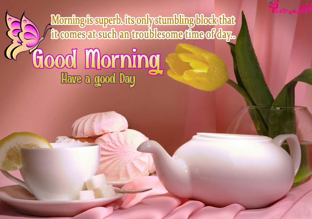 Images Of Good Morning Have a Nice Day