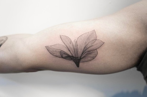 este_raio-x_flor este_raio-x_flor