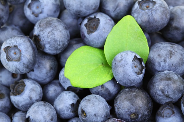 The Power of Blueberries: Unveiling Their Health Benefits