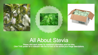 All About Stevia - with 3 pictures of stevia