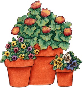 Potted Flowers02