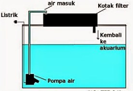 Filter akuarium