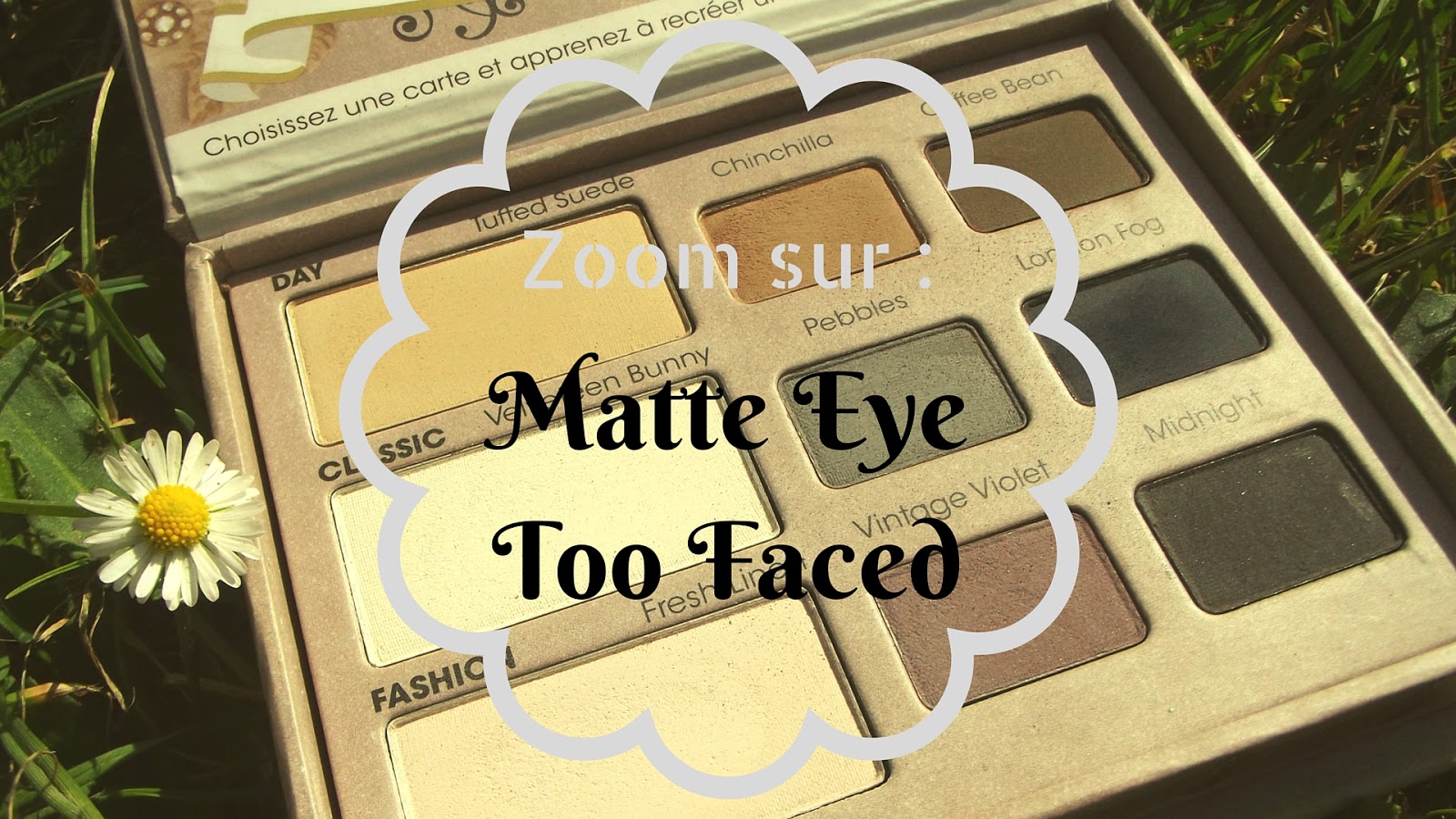 Revue sur la Matte Eye Too Faced