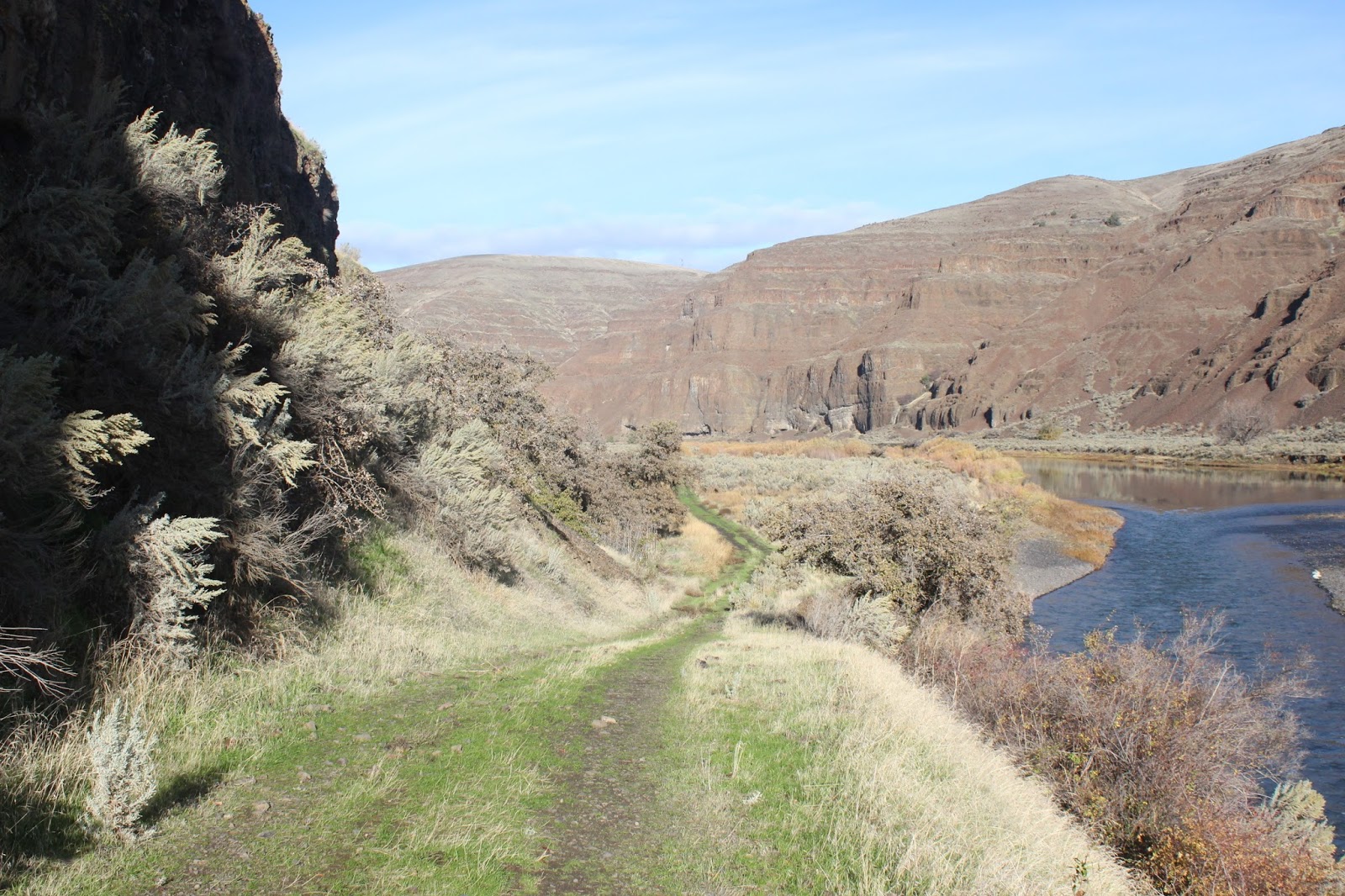 Out and About Oregon Birds: Cottonwood Canyon State Park