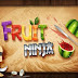Fruit Ninja Free Android Apk Download 