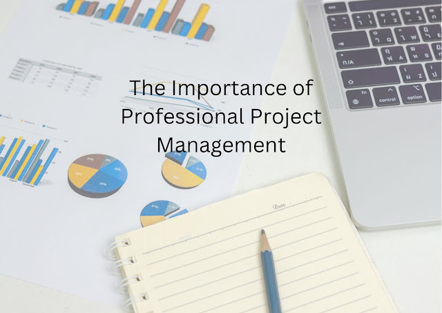 Quang Regan - The Importance of Professional Project Management