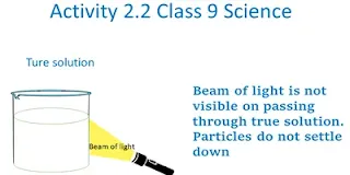 Activity 2.2 NCERT Class9 Science Is Matter Around Us Pure