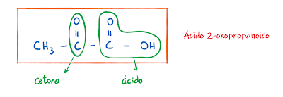 acido-2-oxopropanoico