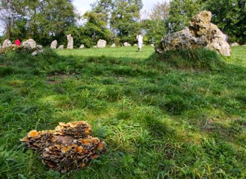 The Rollright Stones And Autumn Equinox Celebrations