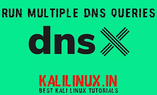 dnsx on Kali Linux