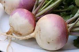 health benefits of turnips. Fresh turnips put in a white bowl