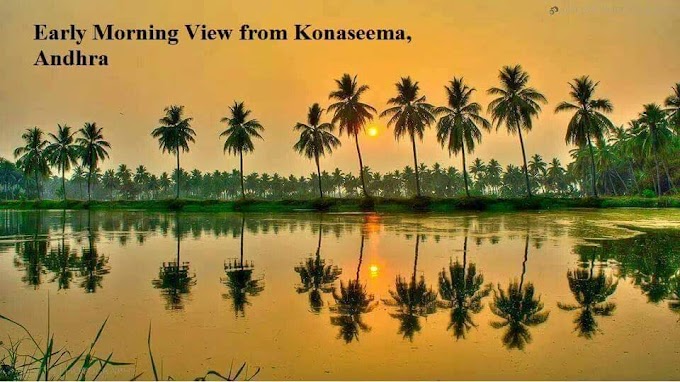 Early Morning View from Konaseema Andhra