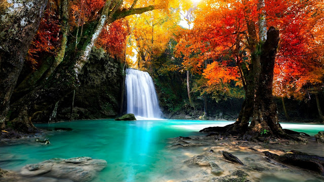 Foto met een waterval en gekleurde herfstbladeren