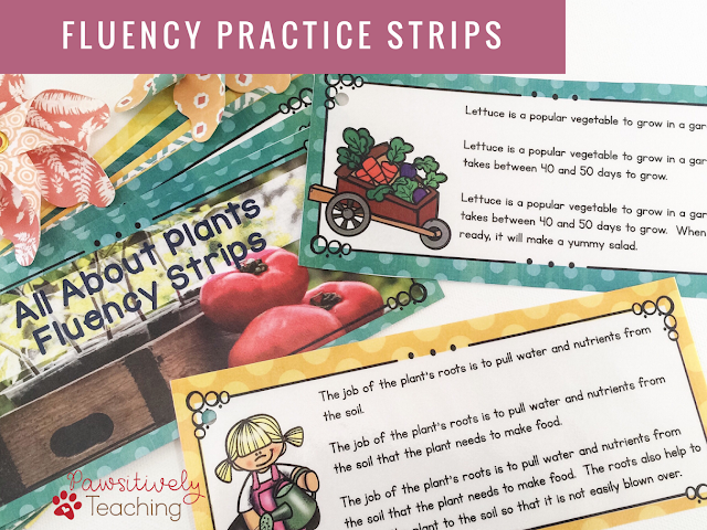 5 Steps for Improving Fluency in Your Classroom ~ Freebie Included