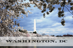 Washington DC Travel Blog