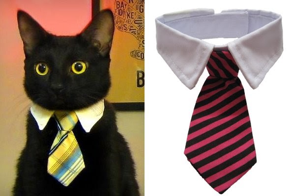 Gambar-Gambar Kucing Pakai Tali Leher @ Tie Kucing 