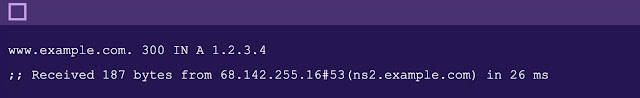 Using dig +trace to understand DNS resolution from start to finish