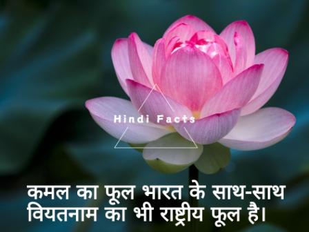 Facts in hindi