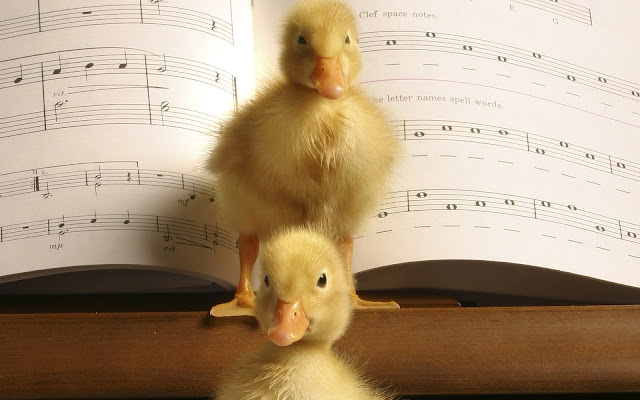 piano, ducklings, musical notes, music