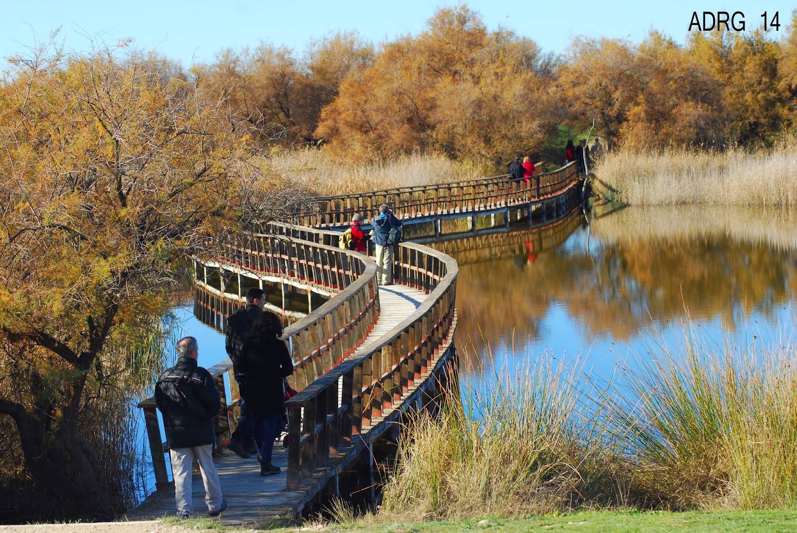 http://unambientalista.blogspot.com.es/2014/12/pateando-por-las-tablas-de-daimiel.html