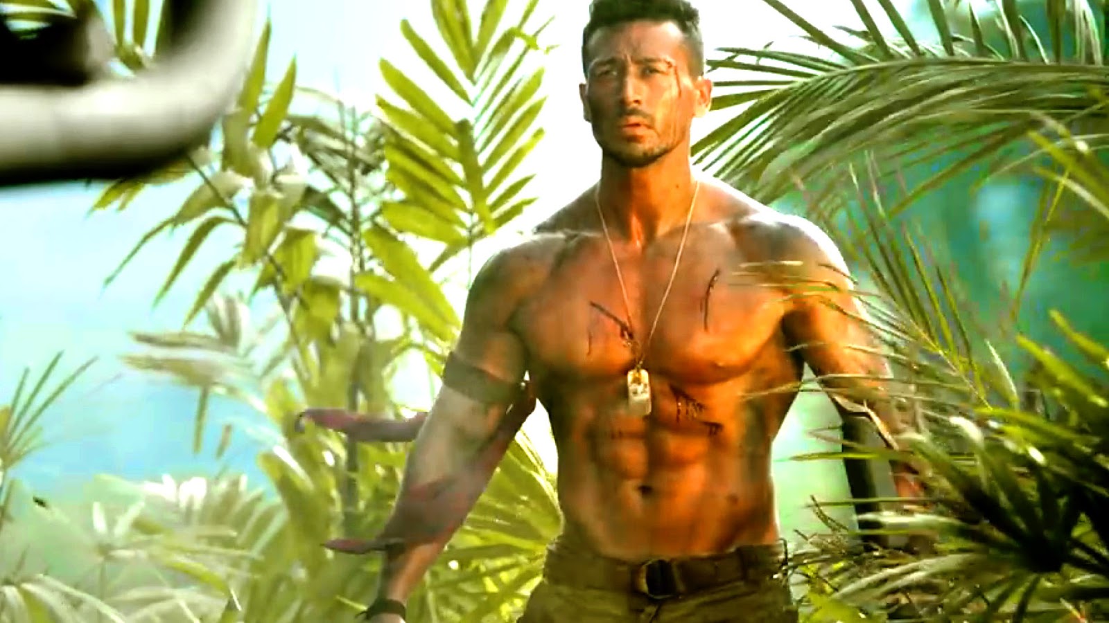 Baaghi 2 Movie Download Full Hd 2019