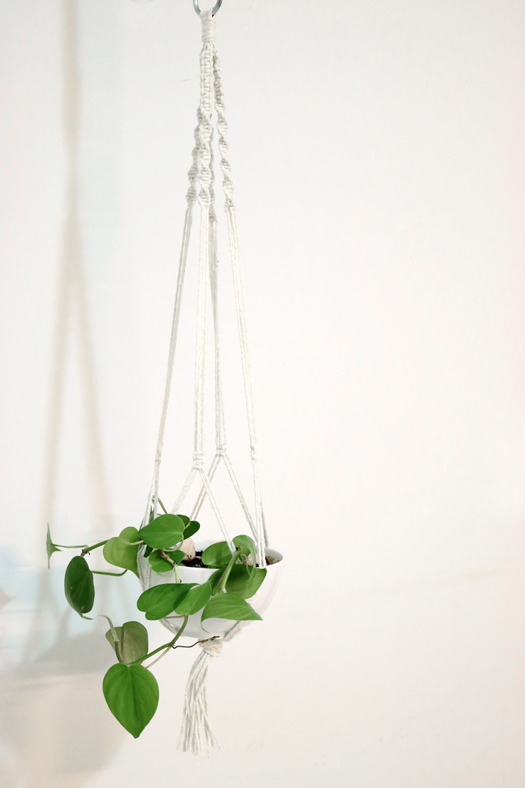 planta macrame