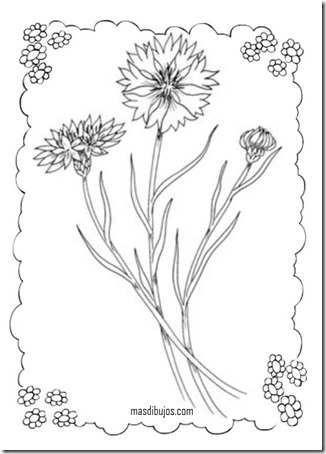 ´colorear primavera masdibujos  (13)