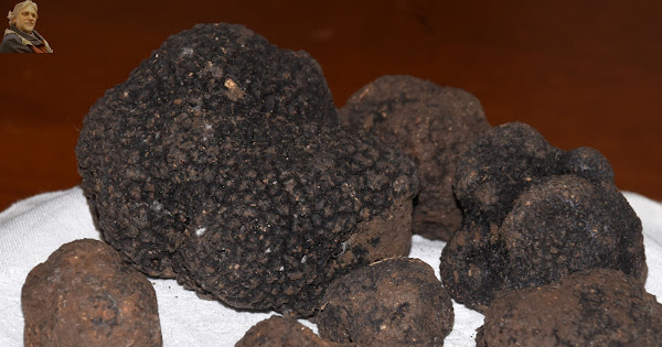 2018-06-08 Convegno sulla valorizzazione del tartufo siciliano
