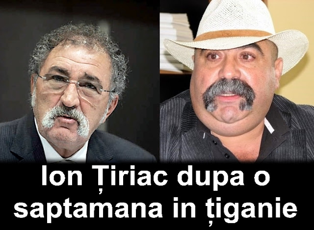 Un tigan care seamana cu Ion Tiriac