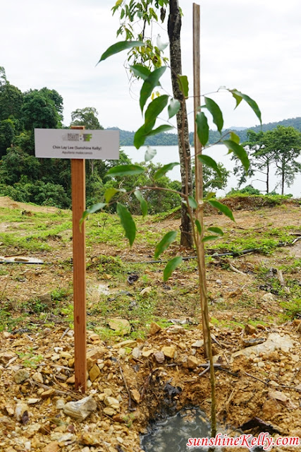 Belum Forest Friends, Belum Conservation Malaysia, Belum Rainforest Resort, Pulau Banding, Perak, Sungai Rouk, Sungai Rouk Waterfall, kampung semalor, medang tree, i-Play, Toy Library, Royal Belum State Park, oldest rainforest in the world, travel, 