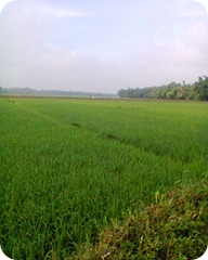 Foto0055