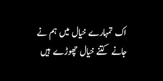 Best 2 Line Very Sad Shayari in Urdu 2020