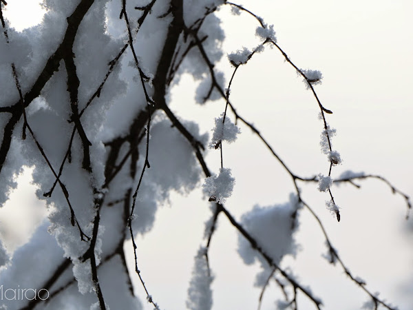 Winterwonderland Finland