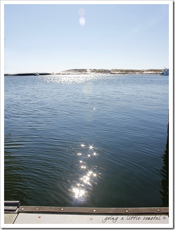 sparkles_edited-1